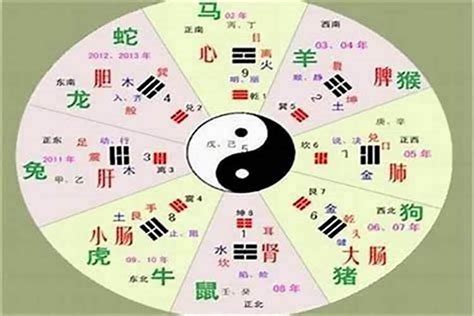 马 五行|属马的五行属性是什么？金木水火土，各有千秋